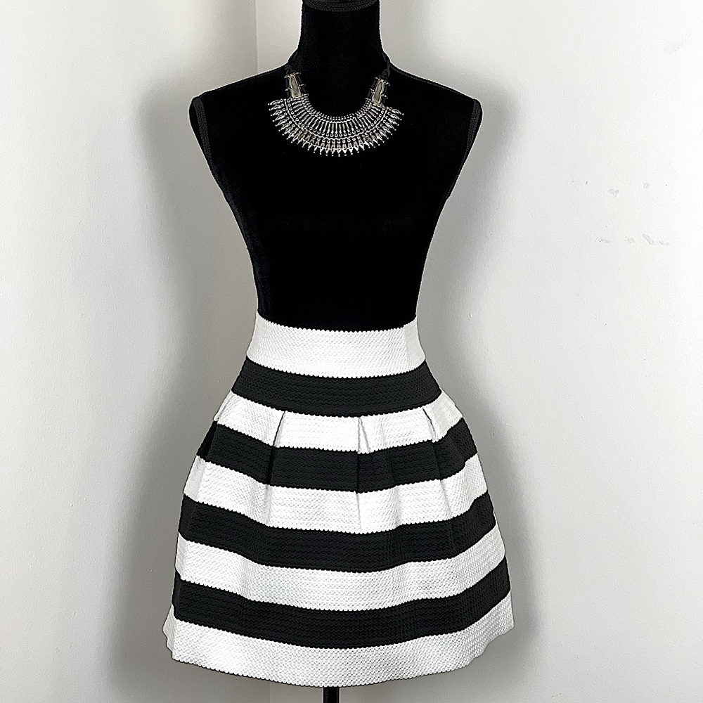 Black and White Mini Skirt